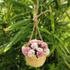 O1CN01LDgWWb1uNUzGvSFMQ_!!6000000006025-0-tbvideo.jpg_b Woven hand basket, flower arrangement basket, fruit storage basket, pastoral style home hanging basket