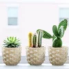 Hand-woven bamboo pineapple flower basket office table green plant flower decoration basket