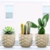 Hand-woven bamboo pineapple flower basket office table green plant flower decoration basket