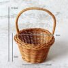 O1CN01aLZlcF29qYQ8DTB9F_!!982378119-0-cib.jpg_b Basket mini basket imitation rattan woven basket plastic imitation rattan wall-mounted basket balcony living room flower basket hand basket